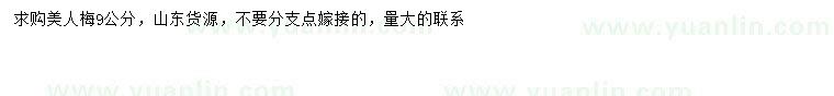 求購(gòu)9公分美人梅