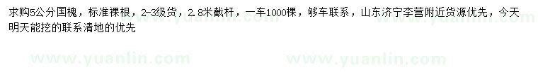 求購(gòu)5公分國(guó)槐