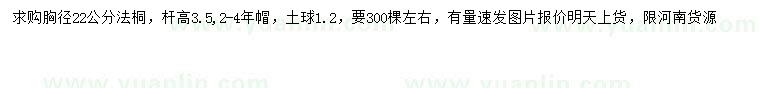 求購胸徑22公分法桐
