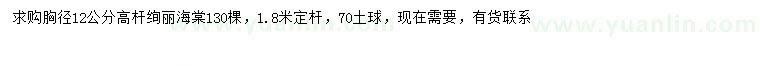 求購胸徑12公分高桿絢麗海棠