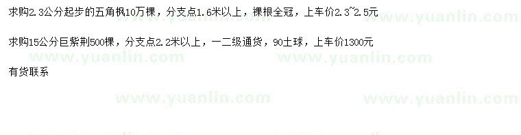 求購2.3公分以上五角楓、15公分巨紫荊