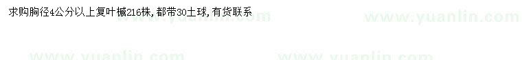 求購胸徑4公分以上復(fù)葉槭