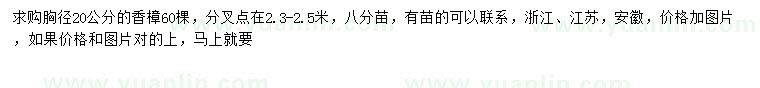 求購胸徑20公分香樟