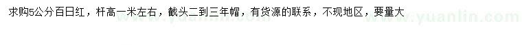 求購(gòu)5公分百日紅