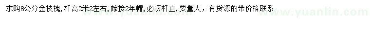 求購8公分金枝槐