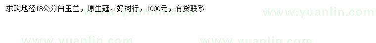 求購地徑18公分白玉蘭