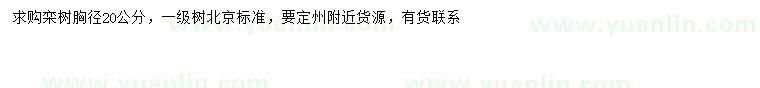 求購胸徑20公分欒樹