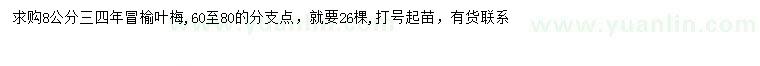 求購8公分榆葉梅