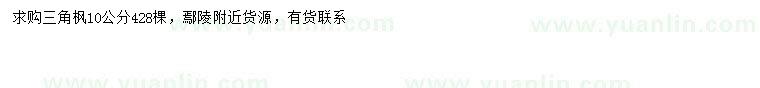 求購(gòu)10公分三角楓