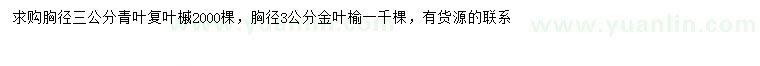 求購胸徑3公分青葉復(fù)葉槭、金葉榆
