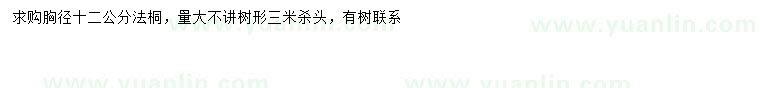求購胸徑12公分法桐