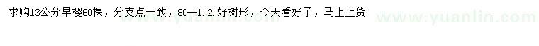 求購13公分早櫻