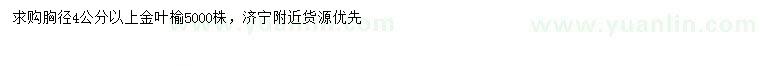 求購(gòu)胸徑4公分以上金葉榆