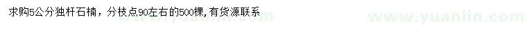求購(gòu)5公分石楠