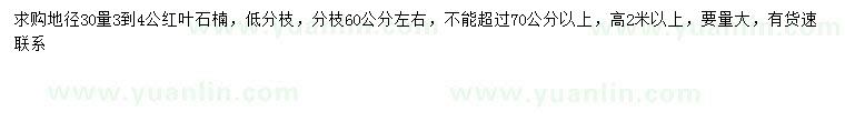 求購30量3-4公分紅葉石楠