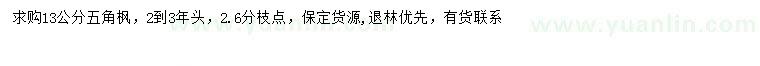 求購13公分五角楓