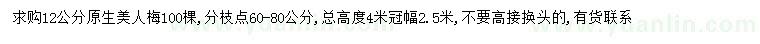 求購12公分美人梅