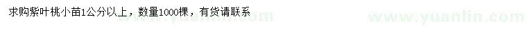 求購1公分以上紫葉桃小苗