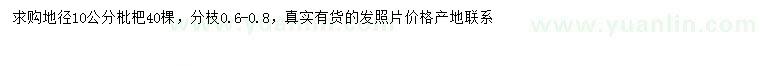 求購地徑10公分枇杷