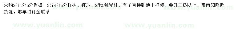 求購3、4、5公分香樟、櫸樹