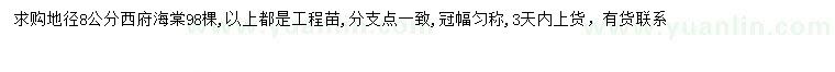 求購地徑8公分西府海棠