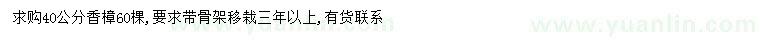 求購40公分香樟