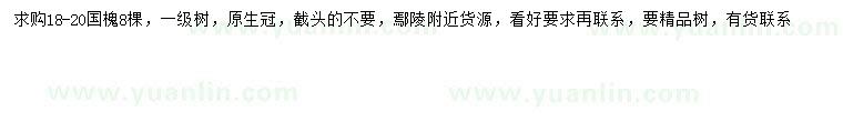 求購18-20公分國槐
