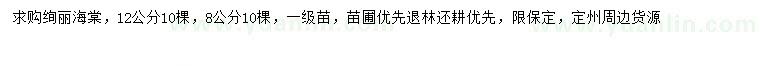 求購8、12公分絢麗海棠