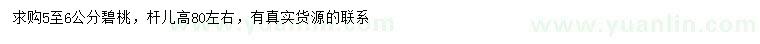 求購5-6公分碧桃