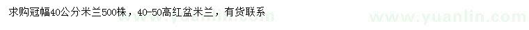 求購冠幅40公分米蘭