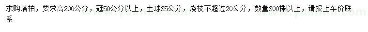 求購(gòu)高200公分塔柏
