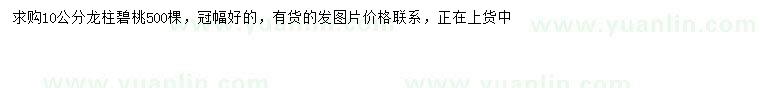 求購(gòu)10公分龍柱碧桃