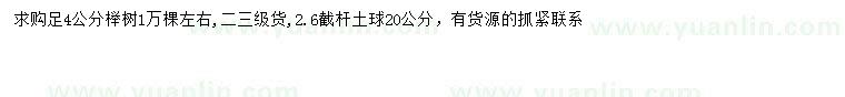 求購4公分櫸樹