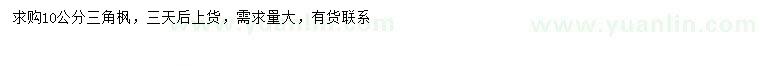 求購10公分三角楓