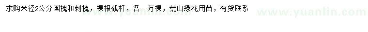 求購米徑2公分國槐、刺槐