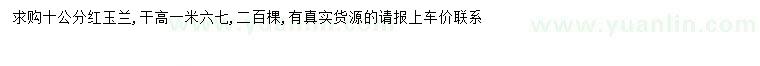 求購10公分紅玉蘭