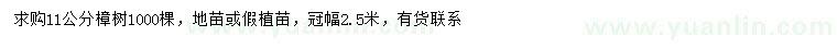 求購(gòu)11公分樟樹(shù)