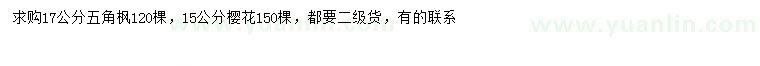 求購17公分五角楓、15公分櫻花