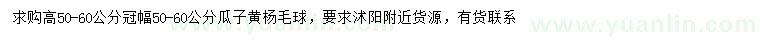 求購冠幅50-60公分瓜子黃楊球