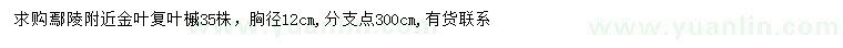 求購胸徑12公分金葉復葉槭