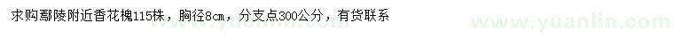 求購胸徑8公分香花槐