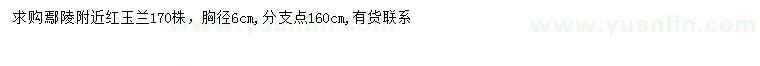 求購胸徑6公分紅玉蘭