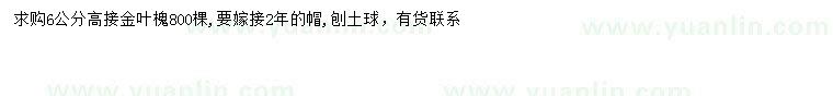 求購6公分高接金葉槐