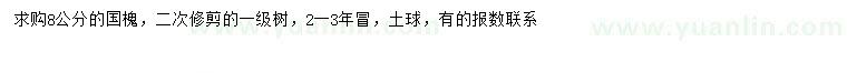 求購8公分國槐