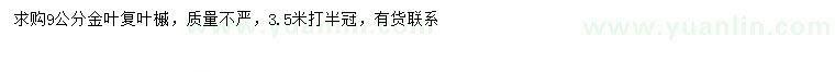 求購9公分金葉復葉槭