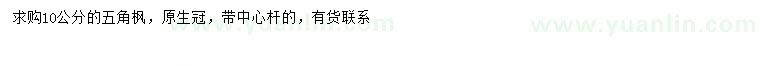 求購10公分五角楓