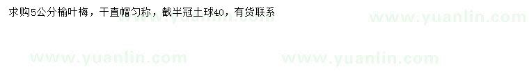 求購(gòu)5公分榆葉梅