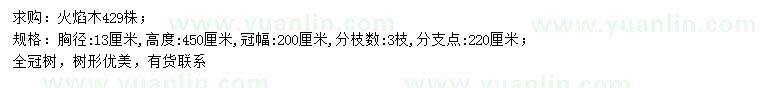求購胸徑13公分火焰木