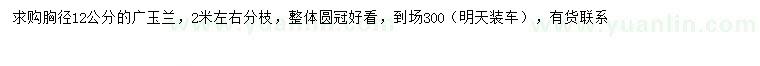求購胸徑12公分廣玉蘭