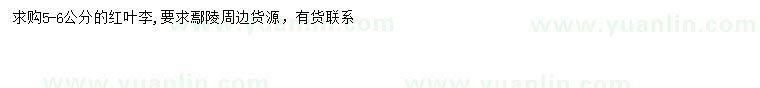 求購5-6公分紅葉李